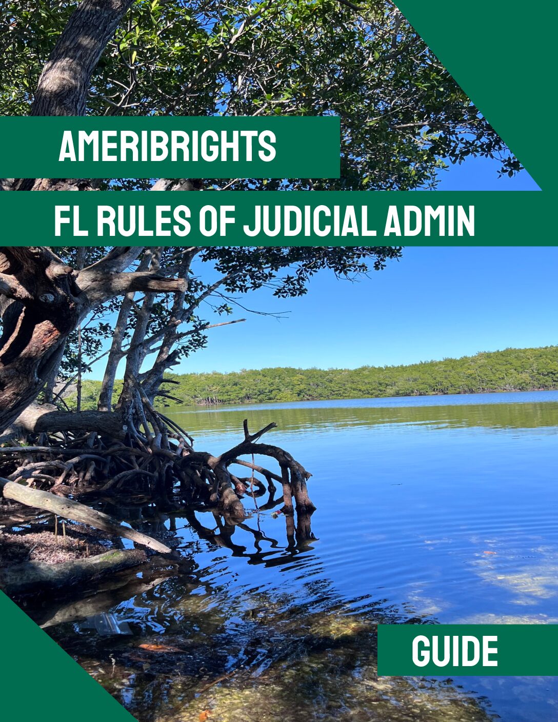 FL Bar Prep Made Easy: FL Rules of Judicial Administration