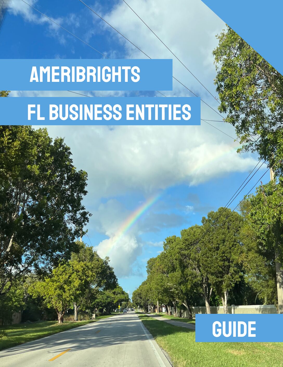 FL Bar Prep Made Easy: FL Business Entities