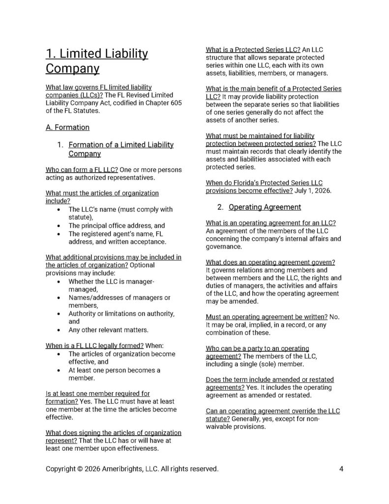 Preview of Ameribrights LLC guide