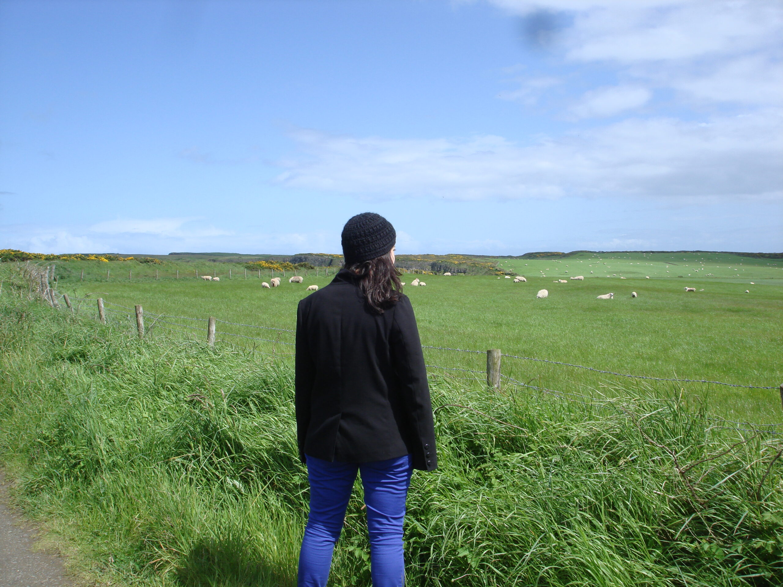 Individual standing in a wide open landscape, looking toward the horizon as a symbol of reflection, learning, and personal growth.